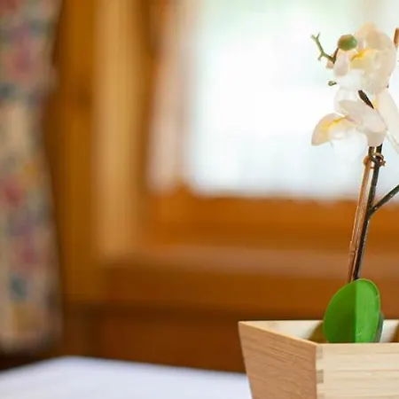 Prázdninový dům Farmerhouse By Northsouth Aparthments Sölden